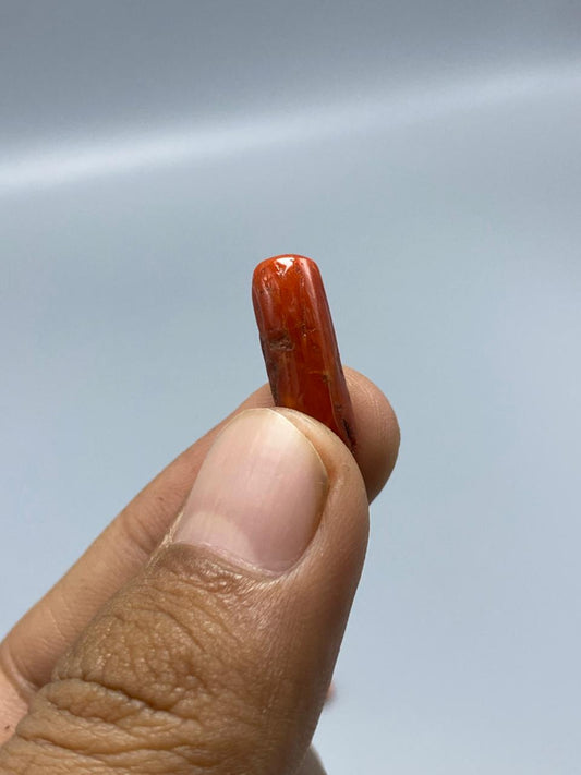 Natural Moonga Marjaan Premium Coral Stone