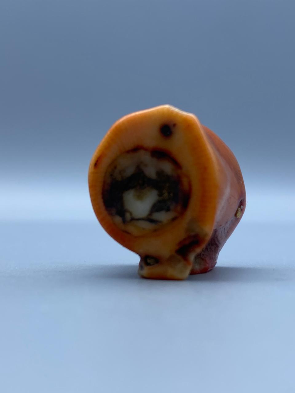 Natural Moonga Marjaan Premium Coral Stone