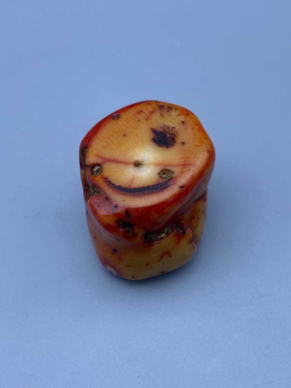 Natural Moonga Marjaan Premium Coral Stone