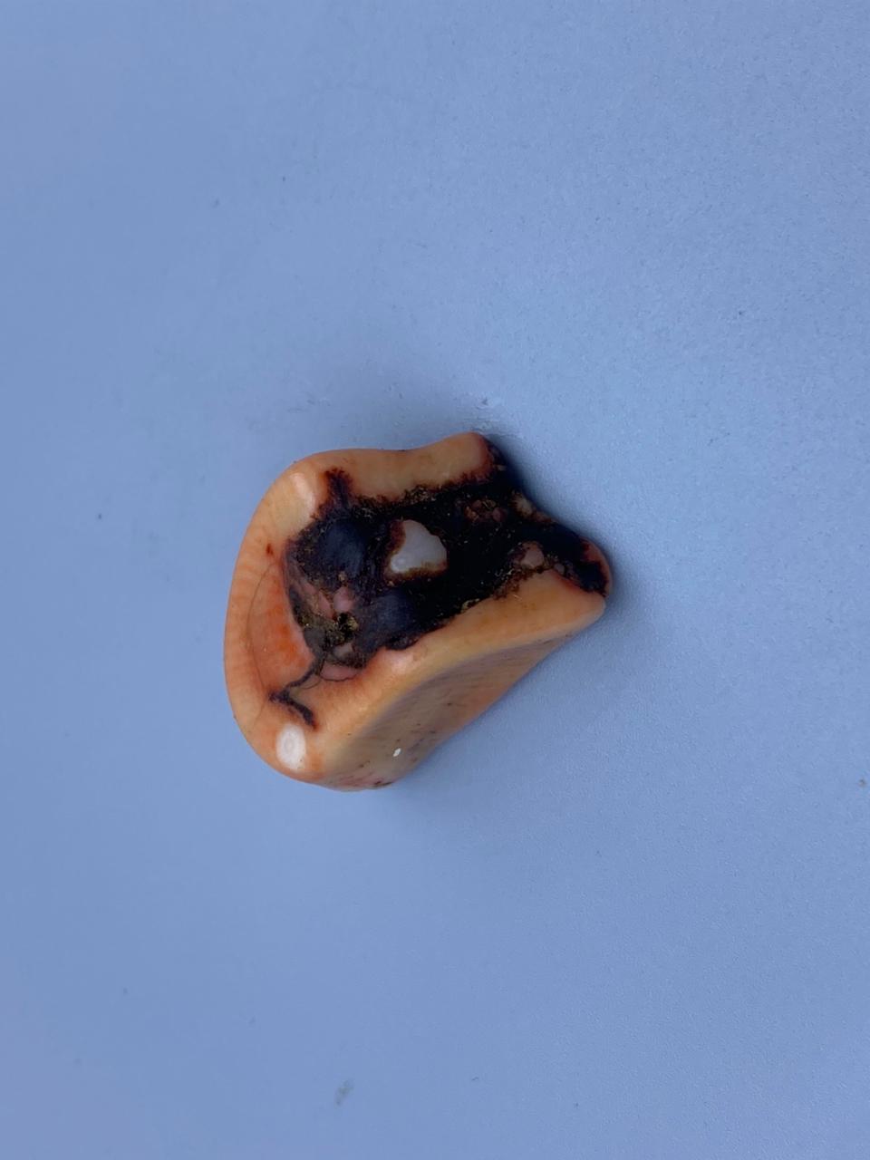 Natural Moonga Marjaan Premium Coral Stone
