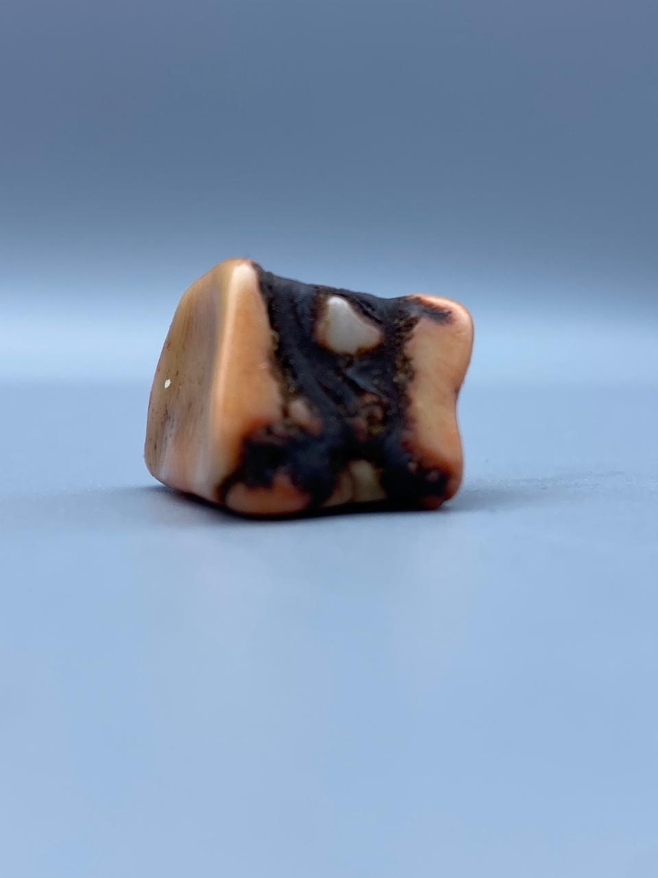 Natural Moonga Marjaan Premium Coral Stone