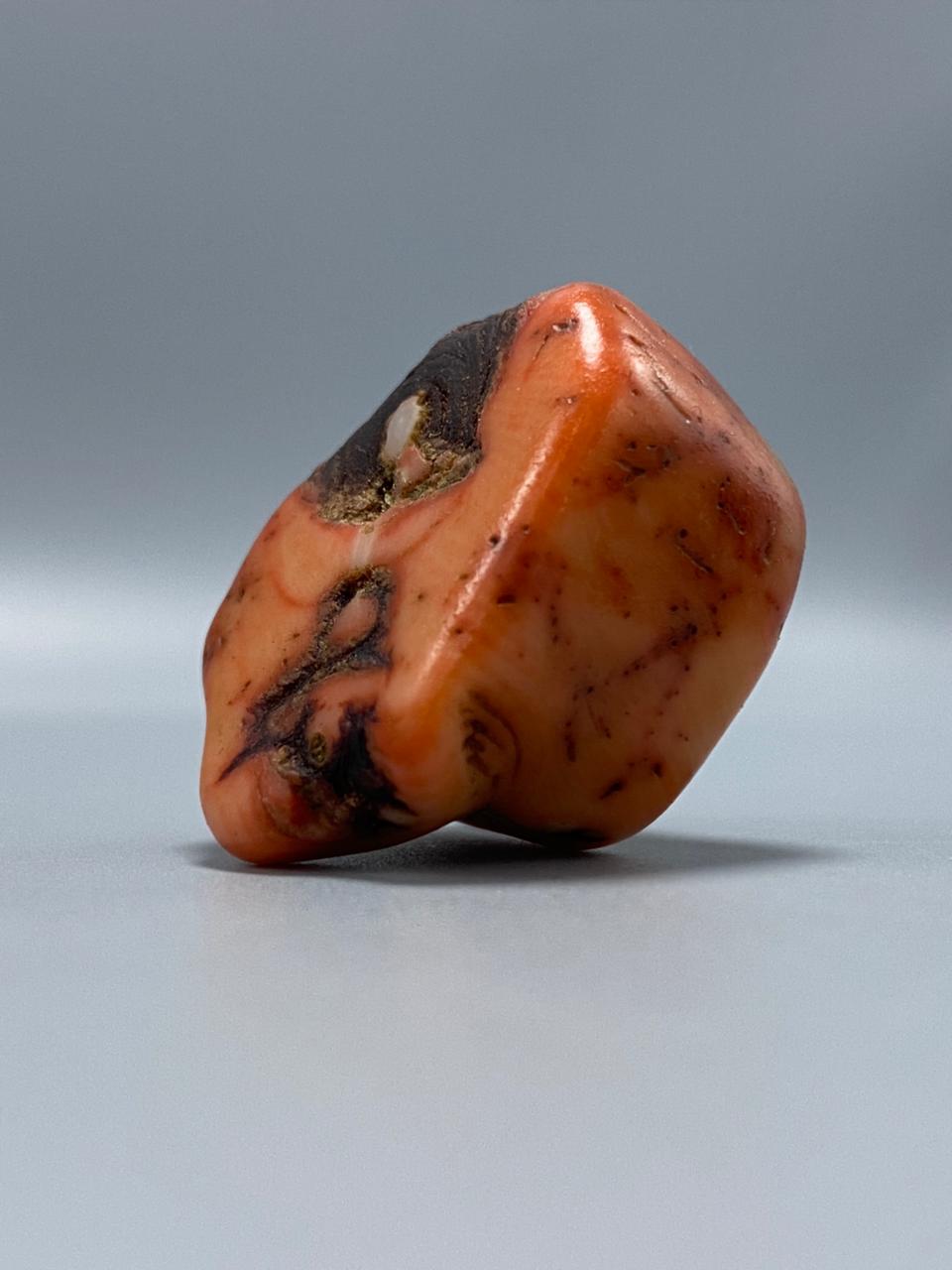 Natural Moonga Marjaan Premium Coral Stone
