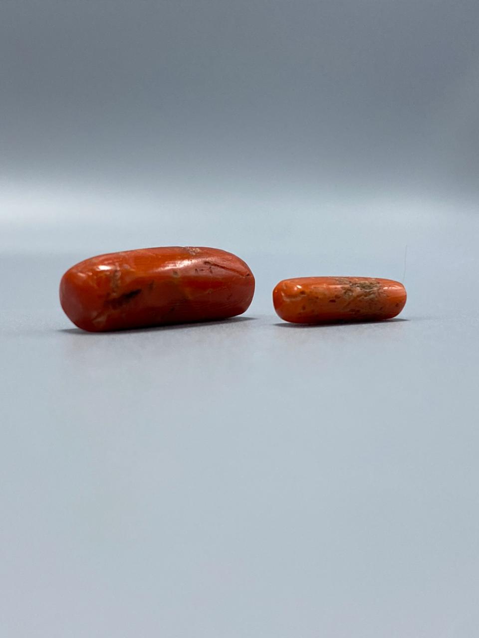 Natural Moonga Marjaan Premium Coral Stone