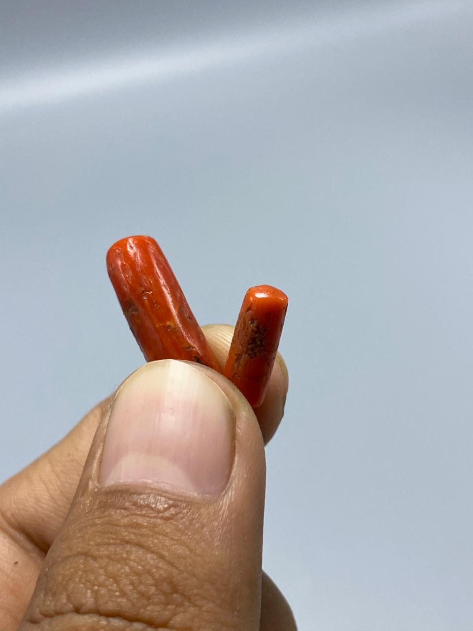 Natural Moonga Marjaan Premium Coral Stone